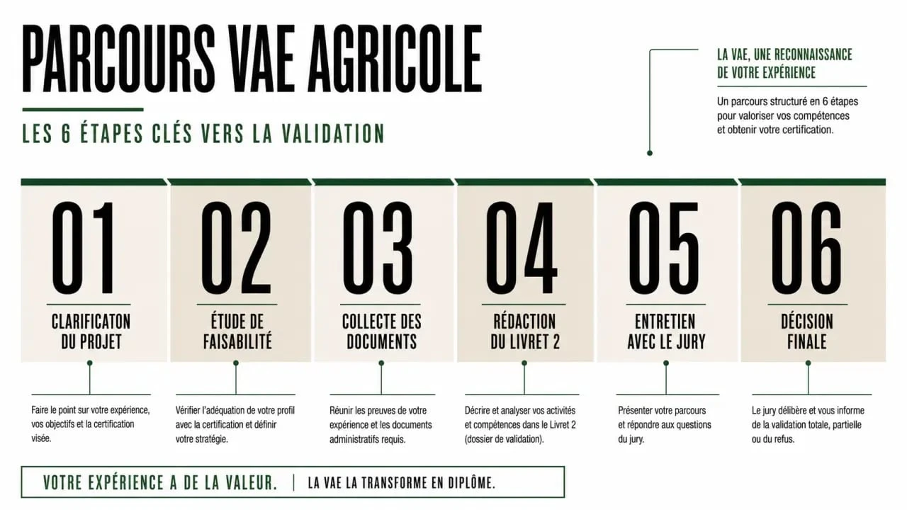 Infographie des étapes de la VAE agricole pour obtenir un diplôme