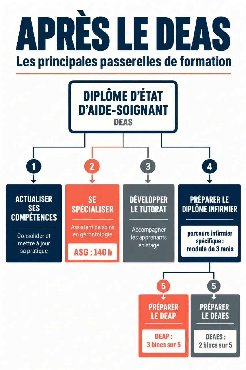 Infographie sur les parcours de formation complémentaire aide soignant après le DEAS